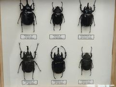 -吉林省自然博物馆