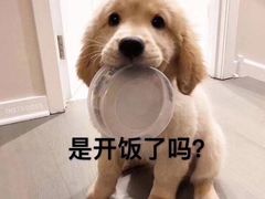 -沪上阿姨鲜果茶(世茂广场宽厚里店)