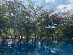 -三亚湾海居铂尔曼度假酒店