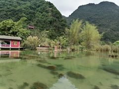 -靖西鹅泉风景区