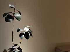 -木兰逸•泰式按摩•头疗•SPA(车公庙店)