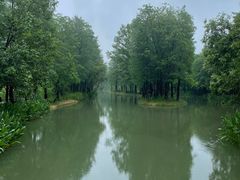 -西溪国家湿地公园