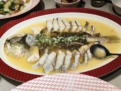 -圆苑(静安寺店)