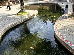 -晋江五店市传统文化旅游区