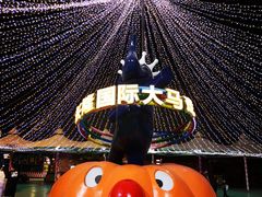 -广州长隆国际大马戏