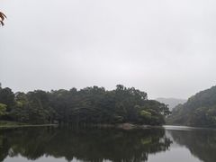 -广州市石门国家森林公园