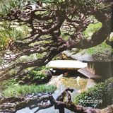 从势头上看，新建肯定输了