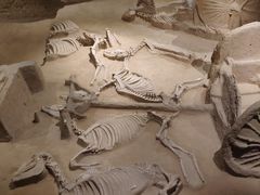 -洛阳周王城天子驾六博物馆