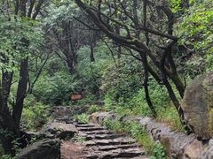 -阳台山自然风景区
