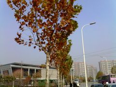 餐厅-河南财经政法大学(郑东校区)