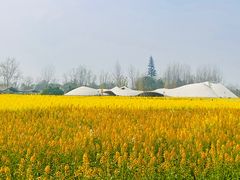 -中国天府农业博览园