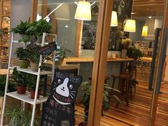 -猫的天空之城概念书店(印象城购物中心店)