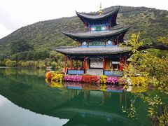 -沈记土鸡米线(七星街品牌中心店)