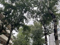 -北京理工大学(中关村校区)