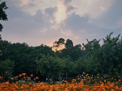 -广州莲花山旅游区