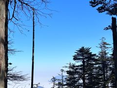 -瓦屋山景区