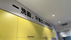 体验后-洗脸猫·洗脸吧