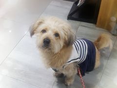 -爱侣宠医·鹦鹉专科·小型哺乳类·异宠专科(灵石路店)