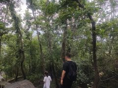 -紫金山山顶公园