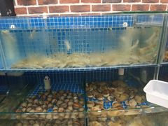 水产区-蟹谢蒸鲜自助餐厅
