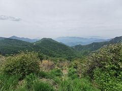 -驼梁风景区