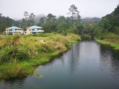 -海南热带雨林国家公园吊罗山景区