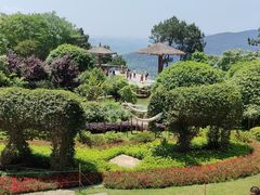 -铁山坪森林公园