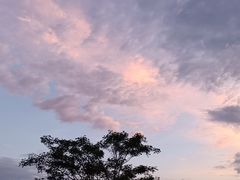 -南宁良凤江国家森林公园