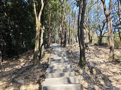 -火炉山森林公园