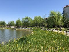 -西海子公园