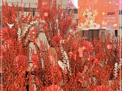 -伊藤洋华堂(温江店)