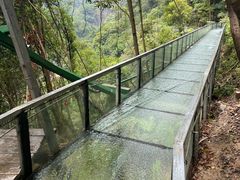 -龙湾潭国家森林公园