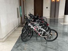 -上海崇明金茂凯悦酒店