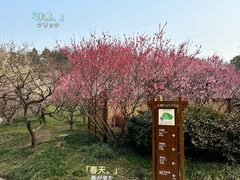 -无锡梅园公园
