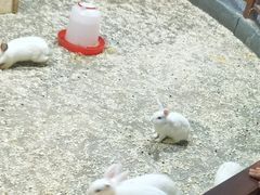 -秦皇岛新澳海底世界