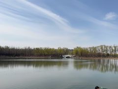 -大兴滨河森林公园