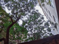 -VESH COFFEE(定西路店)