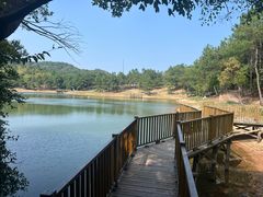 -南京市无想山景区