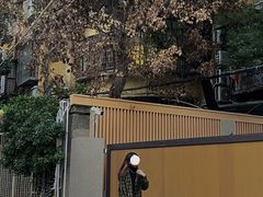 -溪岸路花鸟市场
