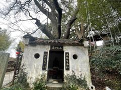 -塔川景区