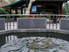 -成都市活水公园