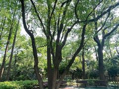 -徐家汇源景区-衡山公园