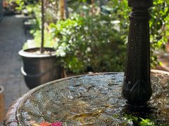-The Grounds of Alexandria
