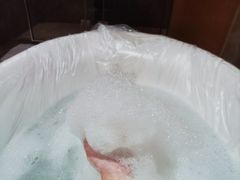 -河源万绿湖美思威尔顿酒店