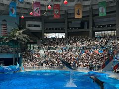 -海合安成都极地海洋公园
