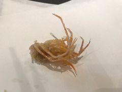 -泉寿司(万科公园店)