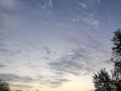 -金塔沙漠胡杨林景区