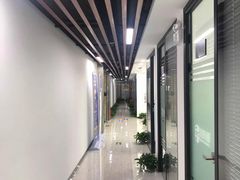 -新航道雅思托福·留学·考研培训(人民广场校区)