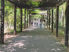 -九龙潭景区