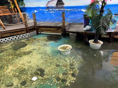 -嘉兴海底世界